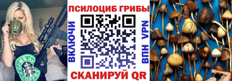 Купить  Таштагол  Галлюциногенные грибы мицелий 